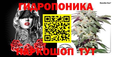 герыч Кимры